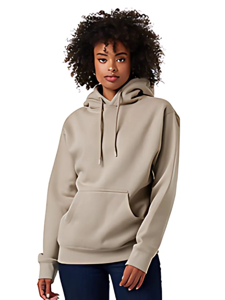 Adult Premium 12oz Hoodie